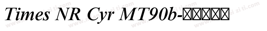 Times NR Cyr MT90b字体转换